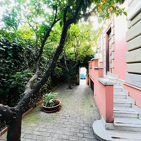 橙园住宿加早餐旅馆